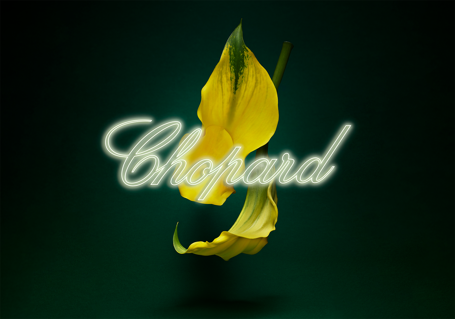 Chopard Neon Flowers